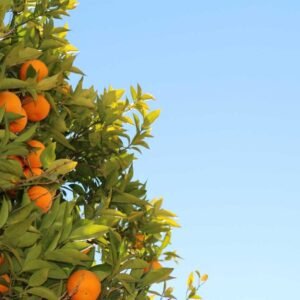 Soft Gradient Wallpaper #002