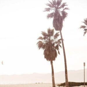 Dream Shapes Wallpaper #005