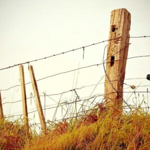 Ink Flow Wallpaper #006