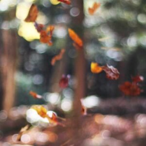 Dream Shapes Wallpaper #008