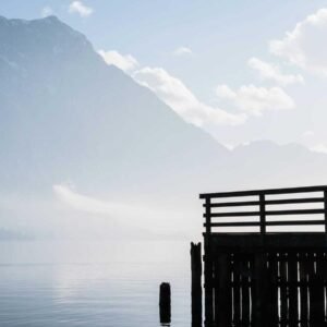 Wildflower Wallpaper #001