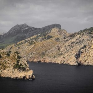 Botanical Classic Wallpaper #008