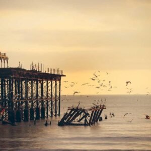 Bloom Garden Wallpaper #010