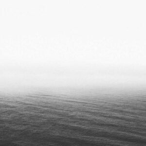 Wildflower Wallpaper #012