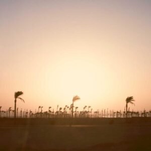 Spring Petals Wallpaper #013