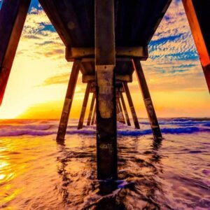 Rose Pattern Wallpaper #015