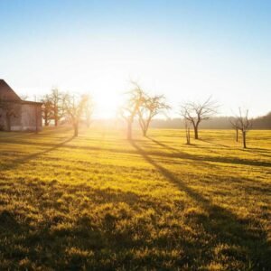 Spring Petals Wallpaper #016