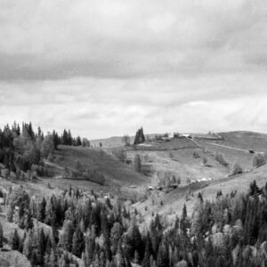 Geo Grid Wallpaper #007