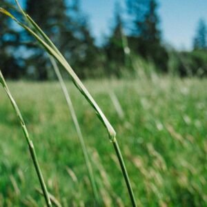 Geo Grid Wallpaper #019