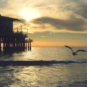 Optical Pattern Wallpaper #020