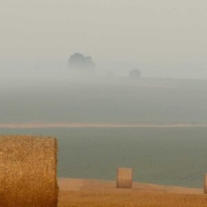 Simple Surface Wallpaper #004