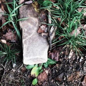 Clean Space Wallpaper #012