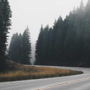 Quiet Tone Wallpaper #017