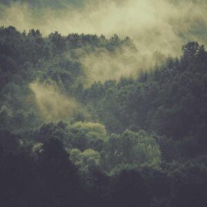 Mono Texture Wallpaper #019