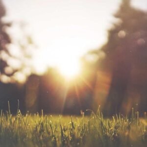 Ocean Horizon Wallpaper #008